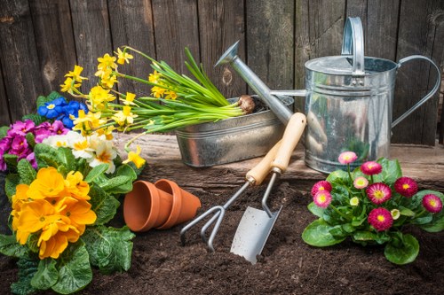 Gardener trimming hedges with professional tools
